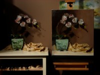 /album/galeria1/dscn1156-jpg/